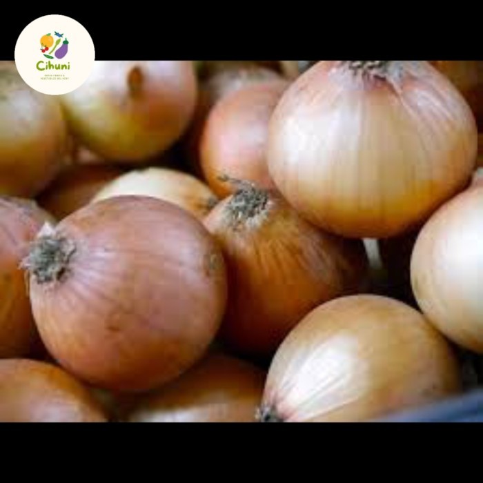 

Terbaru Bawang Bombay Newzealnd Murah 1Kg Best Seller