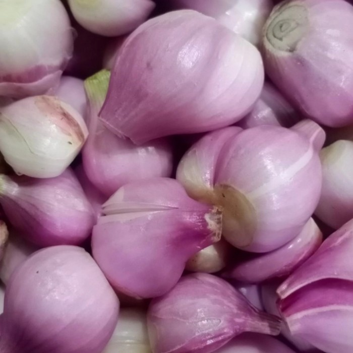 

Promo Bawang Merah Kupas - 250Gr Best Seller