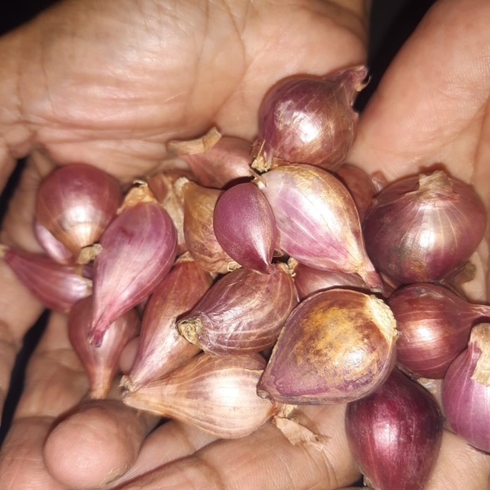 

Promo Bawang Merah Reguler Sayur N Co Bekasi Best Seller