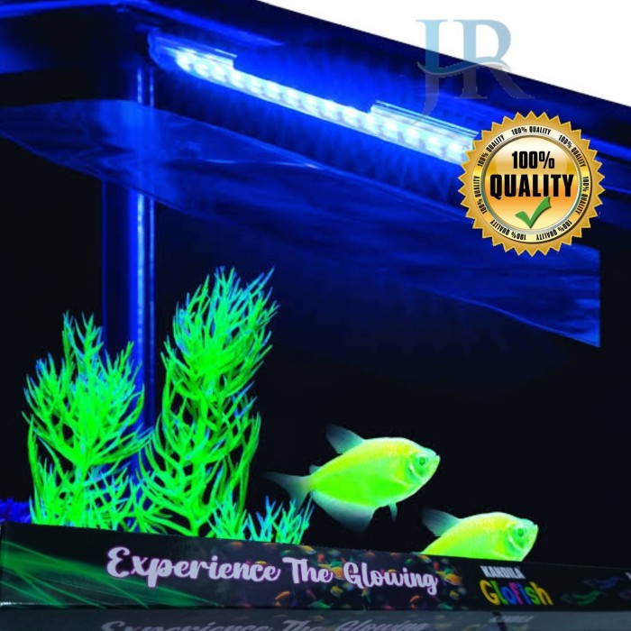 EKSLUSIF Lampu view aquarium LED celup Kandila Glofish tetra glowing color