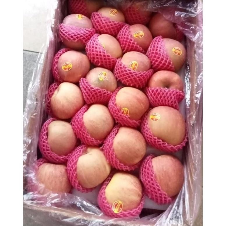 

Indukbuah Buah Apel Fuji Manis Paket 5kg