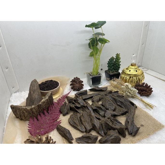 Miliki Kayu Gaharu Sanai Mohassan Tunggul Kalimantan/Gaharu Oud Agarwood