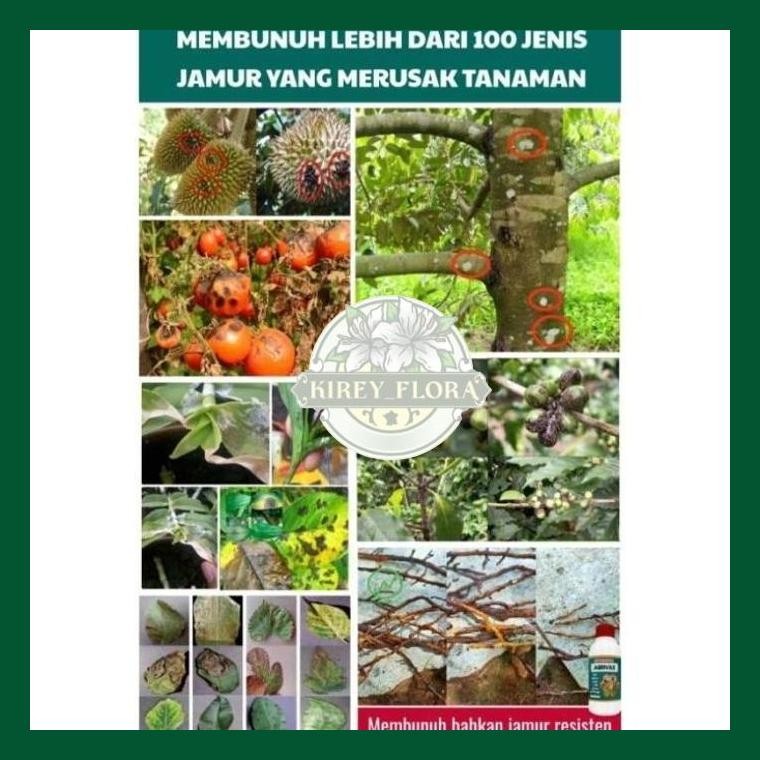 Agrivax Original 250 Ml - Agrivax Fungisida Hayati - Pupuk Hayati