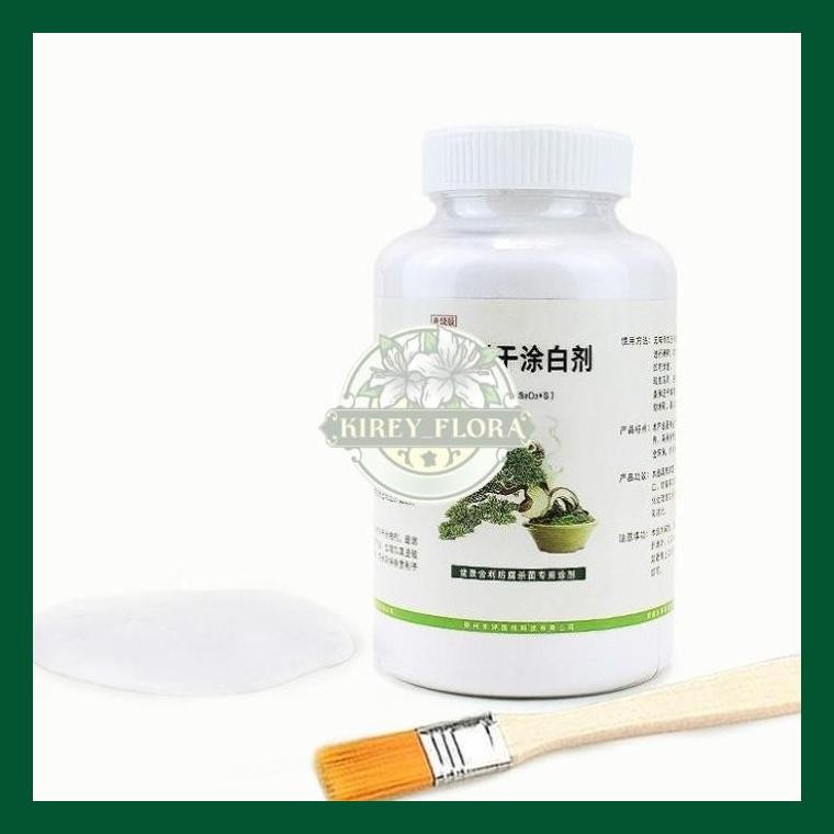 Lime Sulfur Bonsai Best Premium Import Culity Warna Putih 250