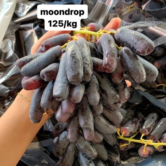 anggur jari moondrop 1kg