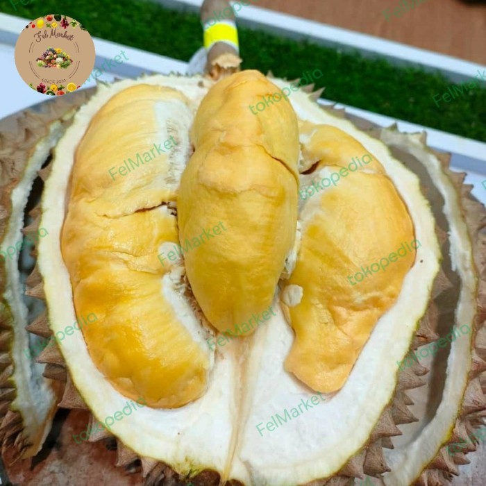 

Durian Bawor Fresh Utuh Super Durian Bawor Utuh Pcs