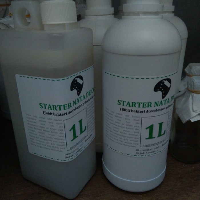 PROMO ~`~ BIBIT BAKTERI ACETOBACTER XYLINUM (bahan starter nata de coco 1 liter) ~~~