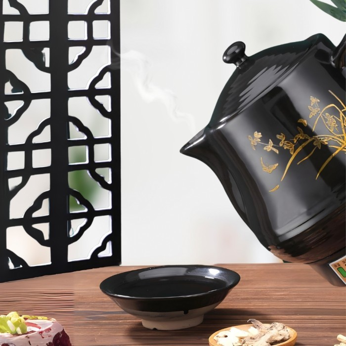 Teko Keramik Obat China Listrik Otomatis 220V Panci Godok Pot Dekoeksi