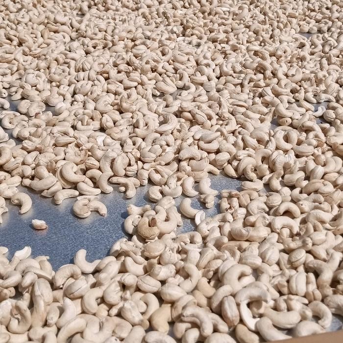

kacang Mete mentah kering 1kg