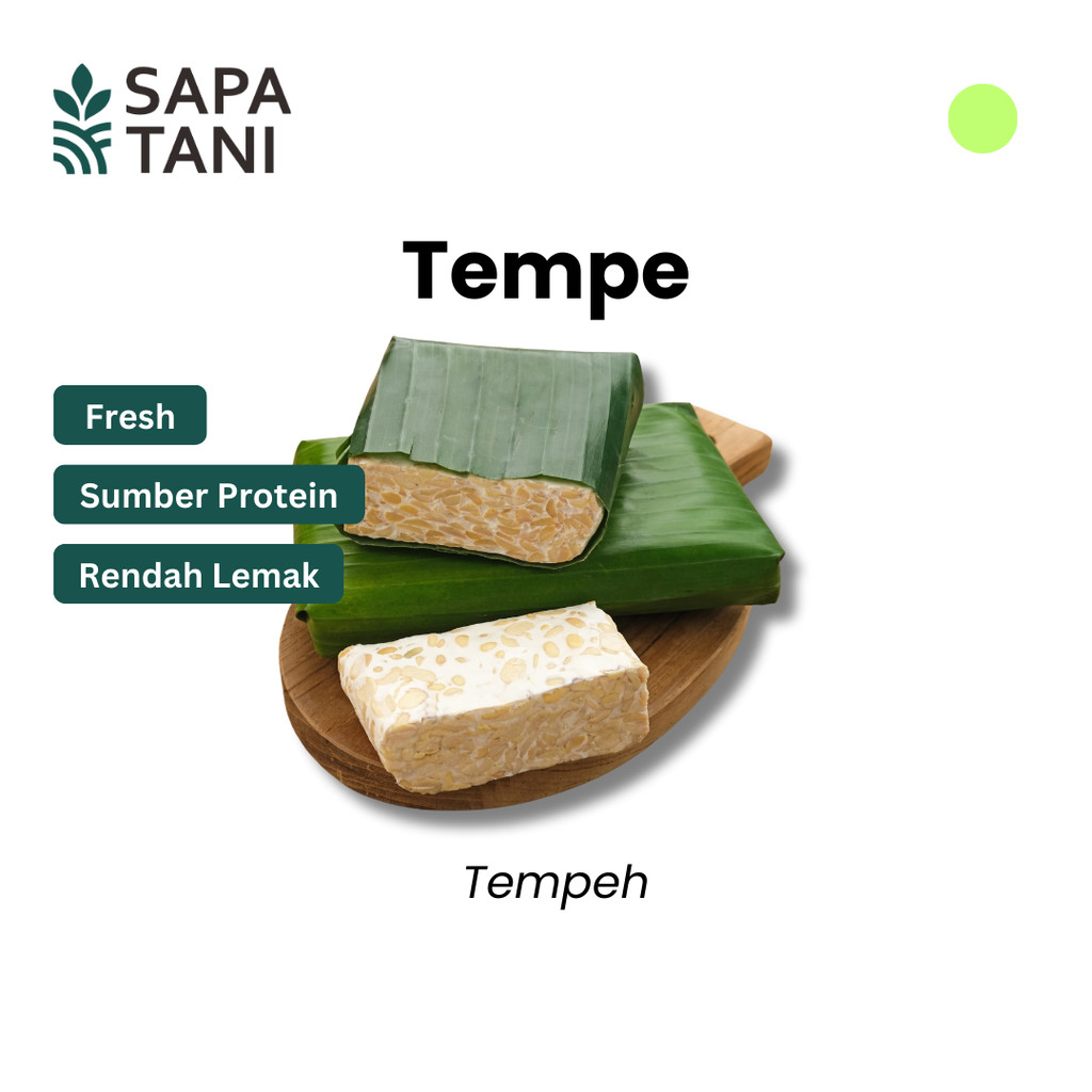

Tempe 400 Gr Sapatani