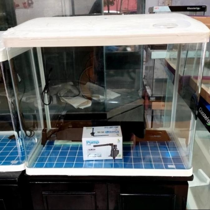 Diskon Aquarium Bending Full Set 80Cm (Incl Lampu + Filter)