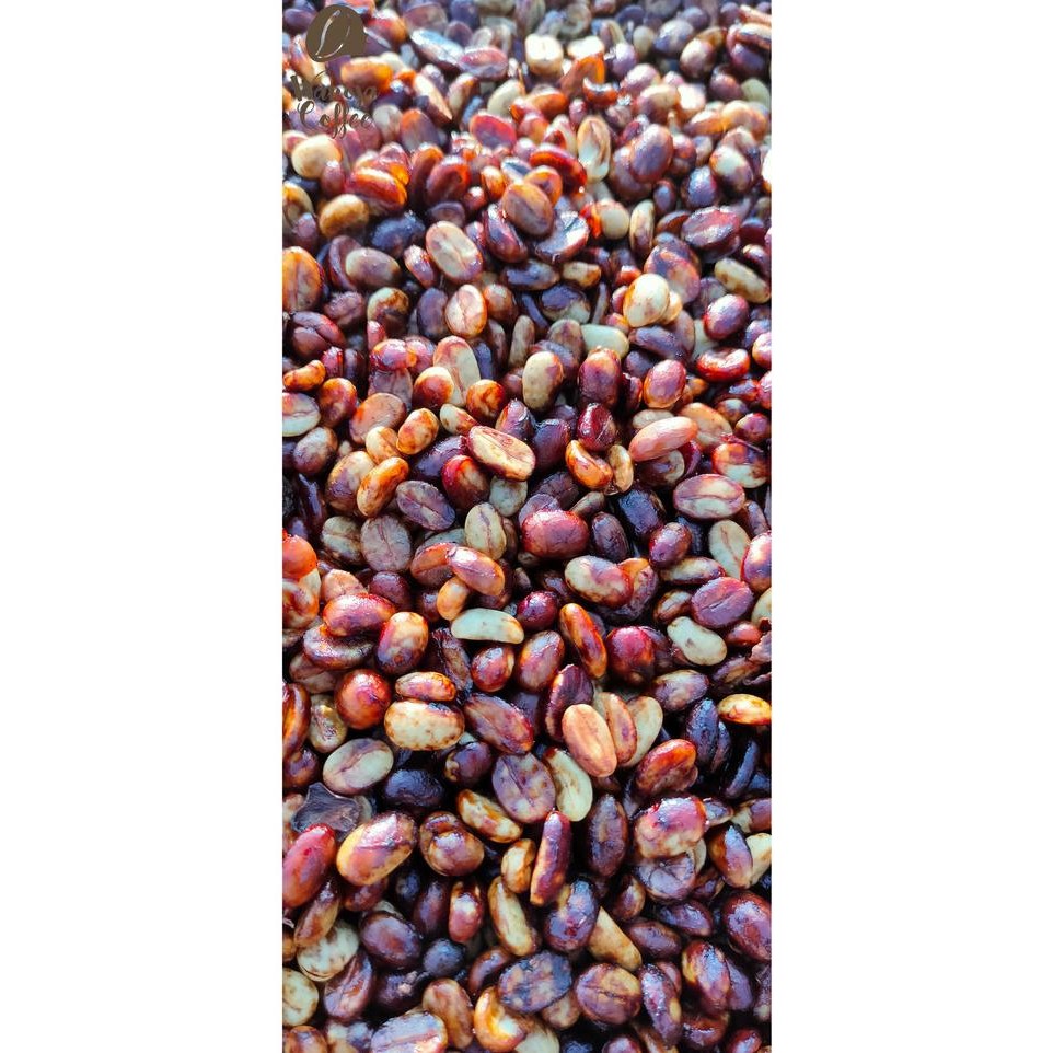 

Green Bean Arabica Black Honey Jawa Barat Kamojang