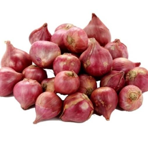 

BAWANG MERAH KULITAS SUPER ORIGINAL