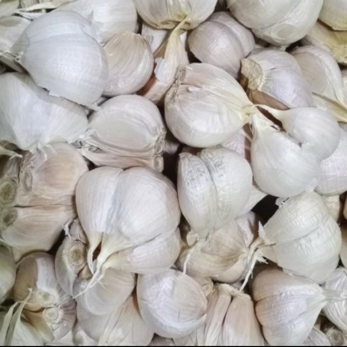 

BAWANG PUTIH KATING 1 KG ORIGINAL
