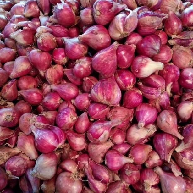 

BAWANG MERAH - 1 KG ORIGINAL