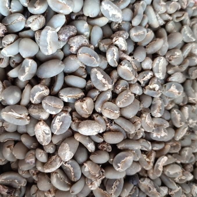 

Green Bean Gayo Arabika Wet Hulled