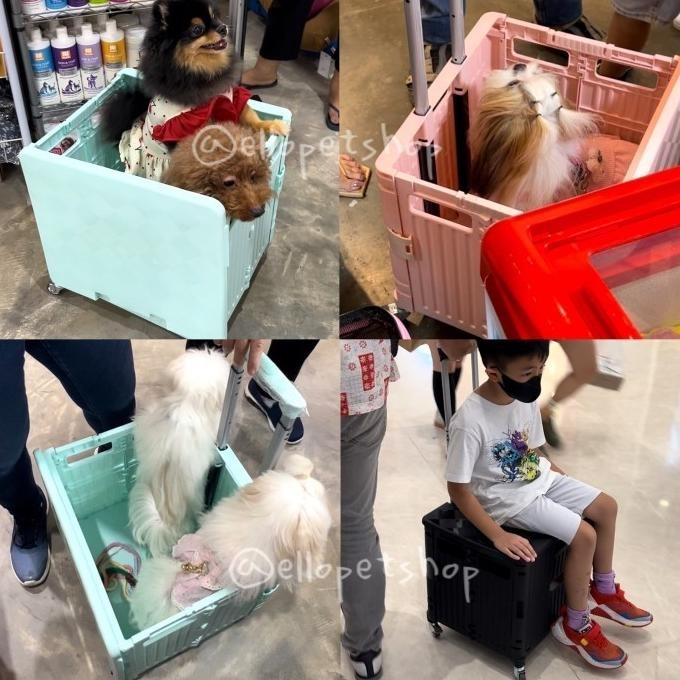 CO Box troli 65L / Troli anjing besar 65 / troli lipat barang /pet troli