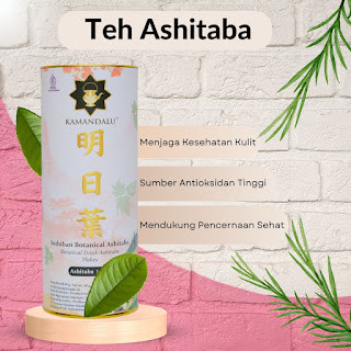 

Ashitaba Herbal Tea - Pencahar Alami yang Lembut dan Aman