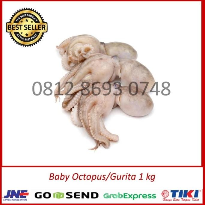 

Promo Baby Gurita Murah 1 kg / baby gurita frozen/ baby octopus murah COD