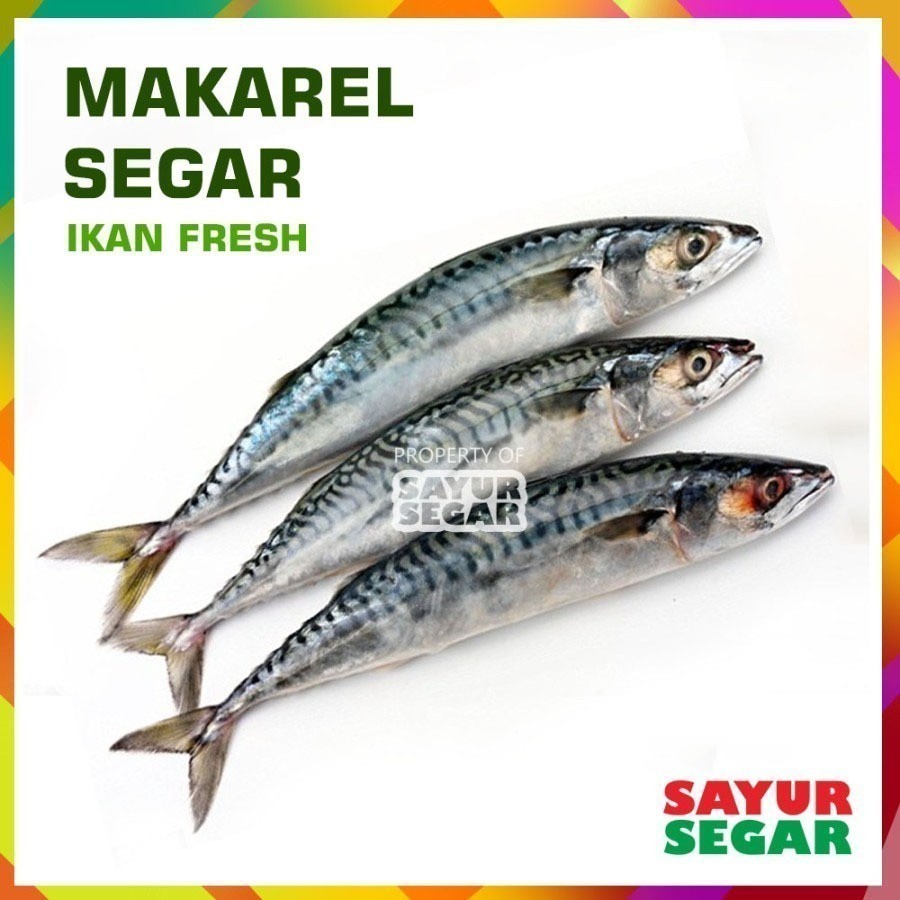 

Ikan Makarel / Mackerel [500G] Fresh