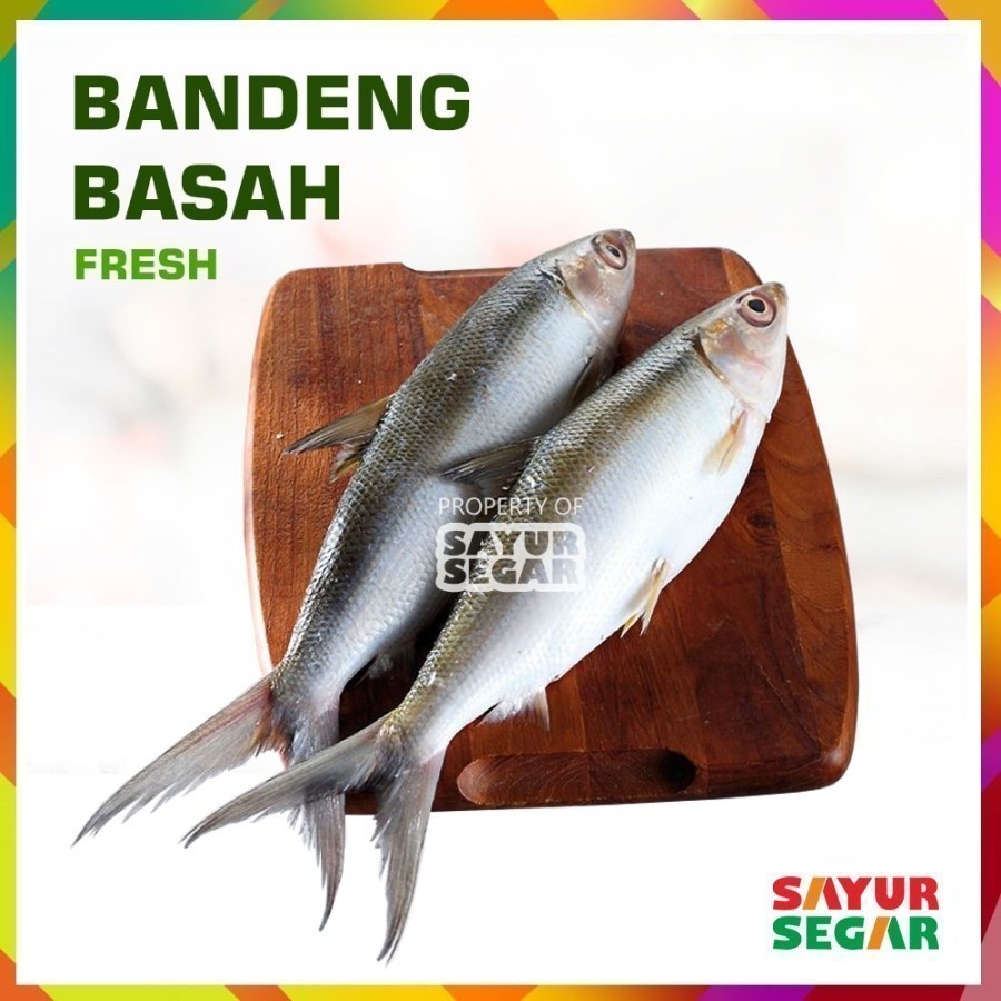 

Ikan Bandeng [500G] Fresh