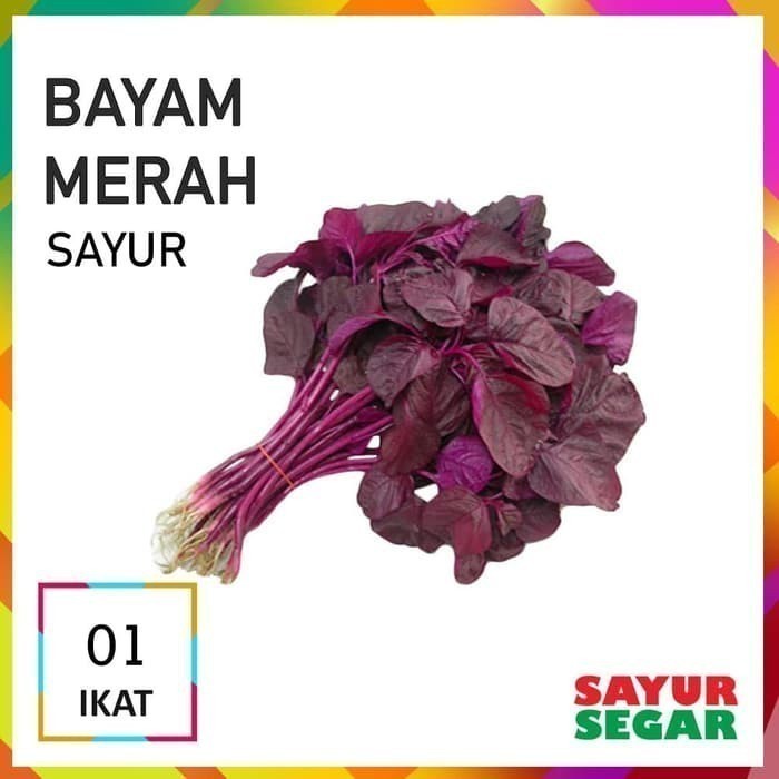 

Bayam Merah Sayur [1 Ikat, ±150G]