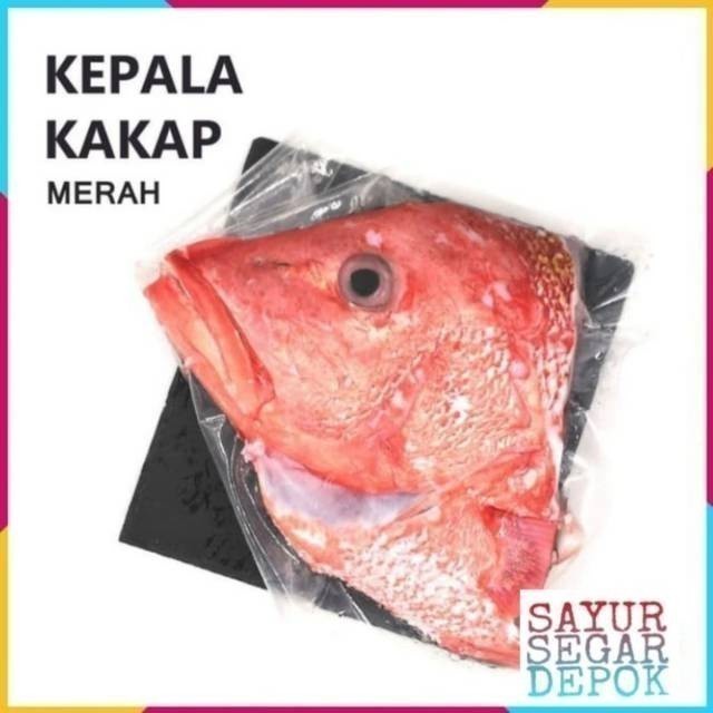 

KEPALA IKAN KAKAP 1 pcs