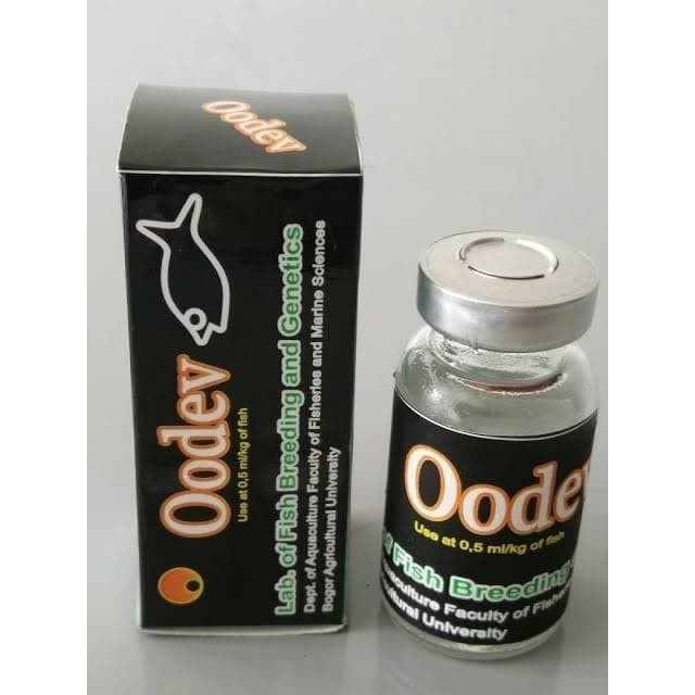 OODEV Hormon Stimulasi [4 MINGGU] Maturasi Indukan Ikan Ternak Unggas