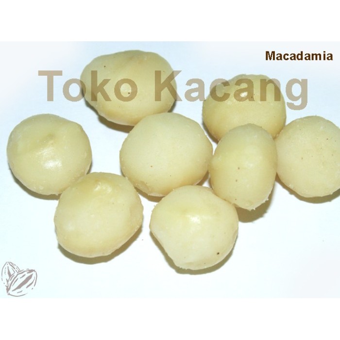 

Kacang Macadamia Mentah 1Kg