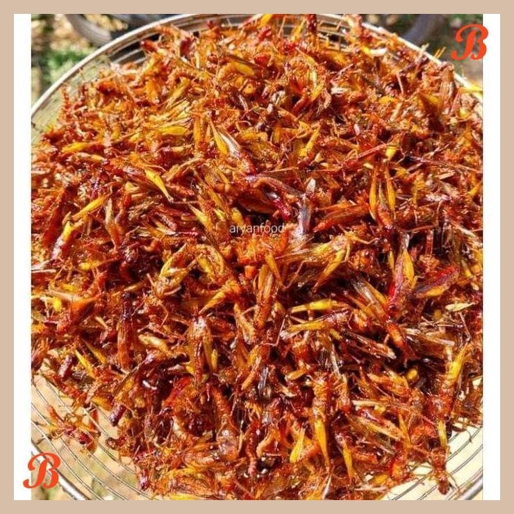 

| NS | BELALANG GORENG,WALANG UTIS (PADI) KEMASAN TOPLES NASTAR BERAT -+120GRAM CAMILAN KERING
