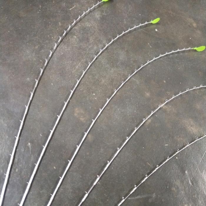 PRODUK TERLARIS ENTUL WWL 32CM ENTUL WADUK READYY