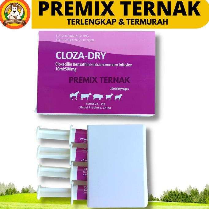 CLOZA DRY 1 SYRINGE - Obat Anti Mastitis Ternak Sapi Kambing Perah