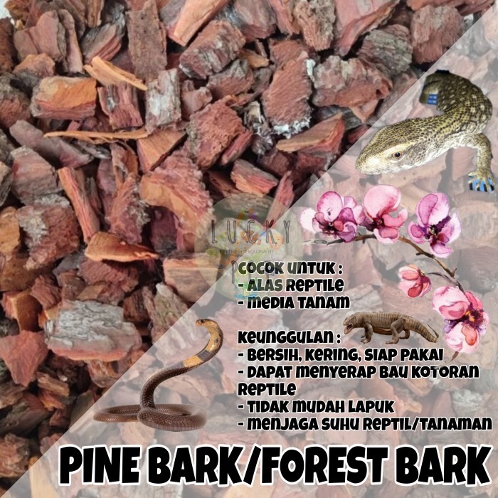 Forest bark pine bark kulit kayu pinus cemara media tanam anggrek