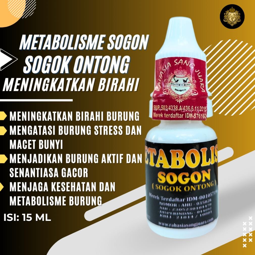 ORIGINAL METABOLIS SOGON METABOLISME BURUNG SOGON SOGOK ONTONG MENINGKATKAN BIRAHI BURUNG An85