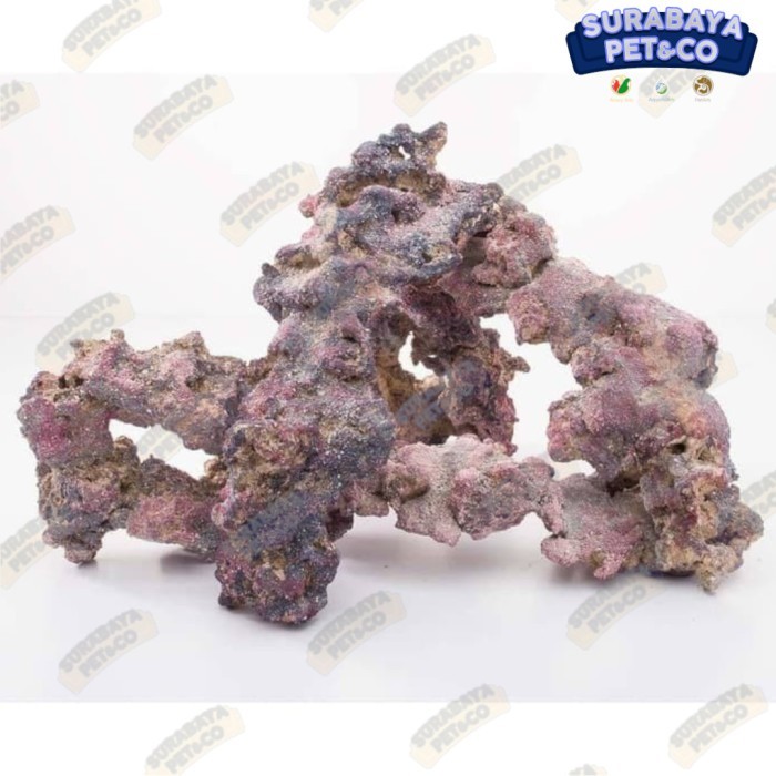 

CARIBSEA LIFEROCK SHAPES 20 LB box