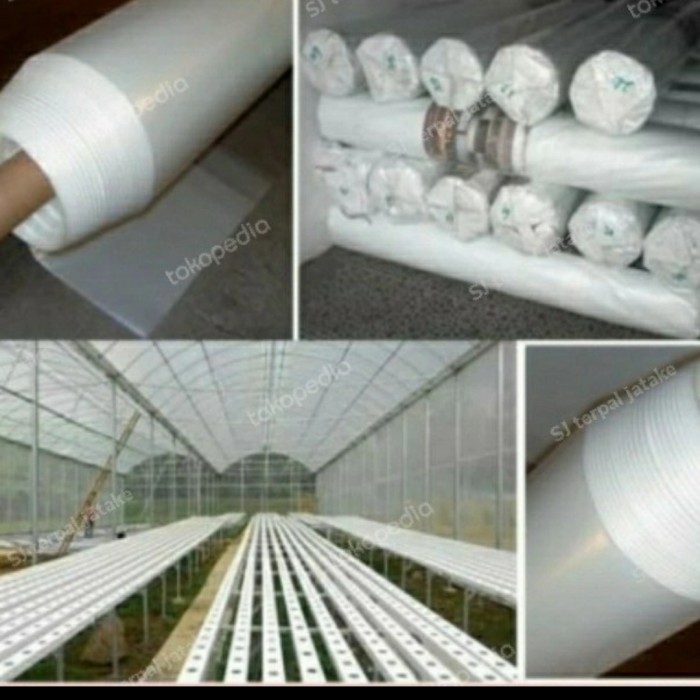 

Plastik Uv Lebar 4 Meter X Panjang 10 Meter 200 Micron