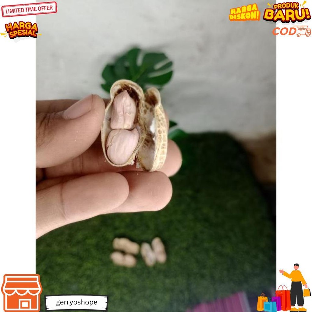 

Kacang Kulit Asin, Kacang Oven Asin, Kacang Asin Kemasan 3Kg, Kacang Kulit, Snack Cemilan/ Kacang Super D Best Seller