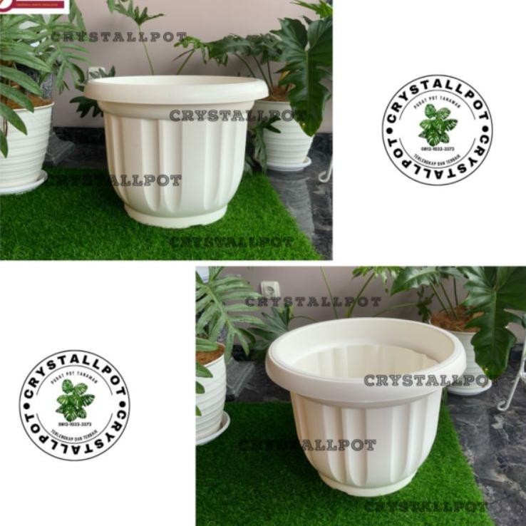 Pot Bunga Plati Putih 50Cm Jumbo Putih