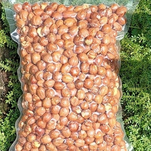

KACANG HAZELNUT KUPAS 1KG RAW