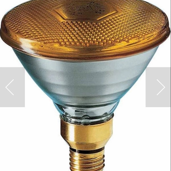 SALE Par 38/80w philips yellow /lampu sorot kuning /lampu sorot outdoor