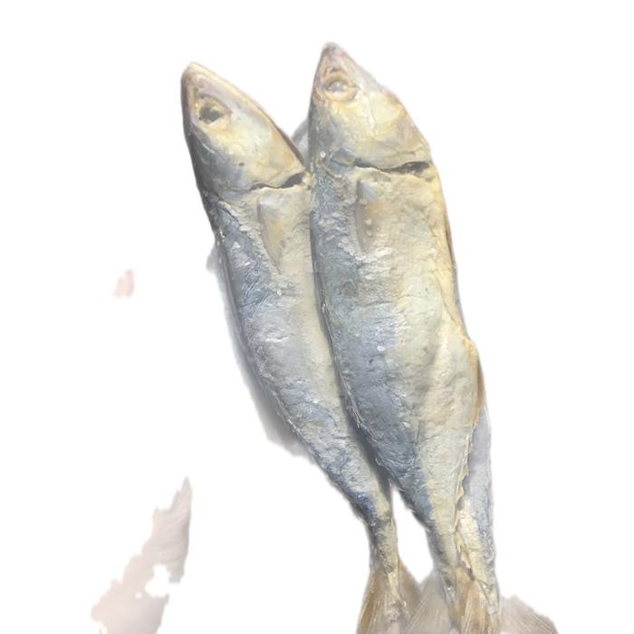 

Sale Ikan Peda kering asli tabanio 1 kg Ready