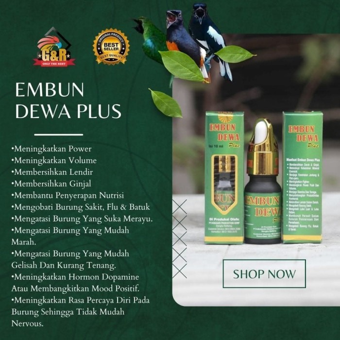 KIBASARI EMBUN DEWA PLUS KODE 1416