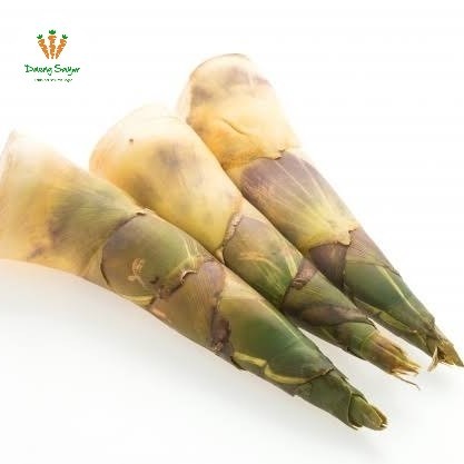 

Sayur Rebung Bambu Lebong - 1 pcs - Kecil
