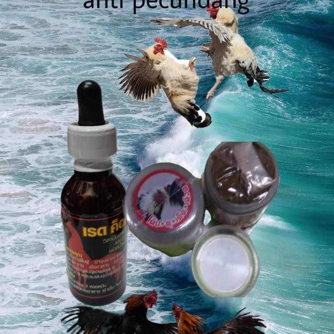 

READY PAKET REDCOCK SUPLEMENT PLUS MULTIVIT DOPING AYAM