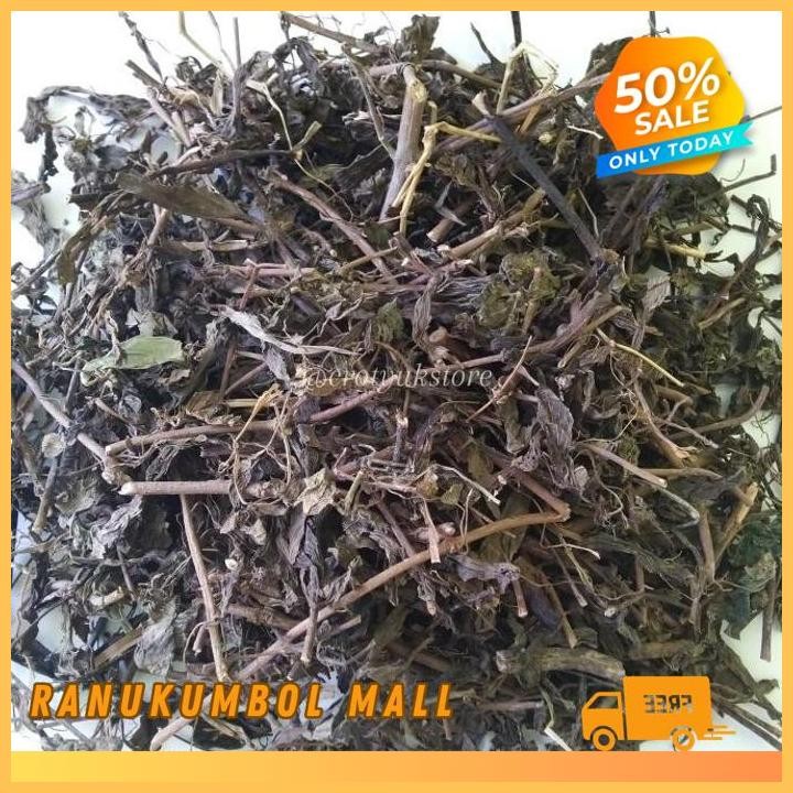 

KERING 1KG ASLI DAN MURNI HERBAL KUMIS KUCING RANU KUMBOL MALL DIJAMIN GRATIS ONGKIR!!