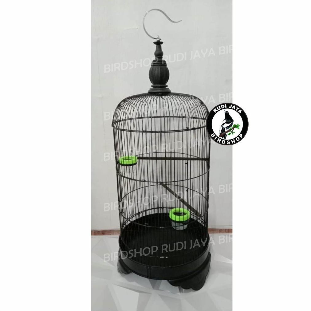 hg-24 SANGKAR LOVEBIRD LENGKAP TEBOK PVC WARNA T3 KANDANG BESI KAPSUL BURUNG KONIN TRUCUK SOGON PLEC