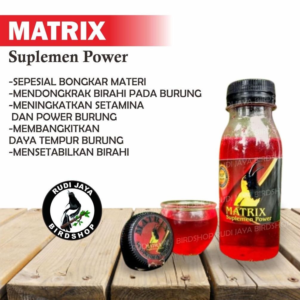 jy-6 Matrix Metrix Power Sogon Vitamin Nektar Nectar Pakan Makanan Penggacor Sogon Sogok Otong Sale