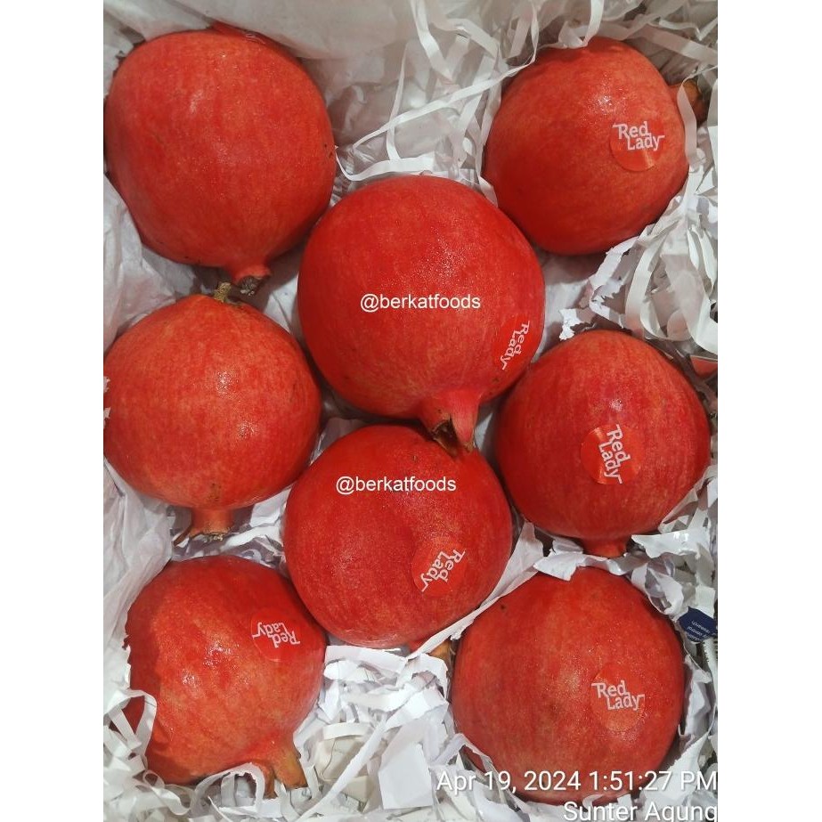 

------] Pomegranate Fruit / Anar India / Indian Anaar Import / Buah Delima Impor