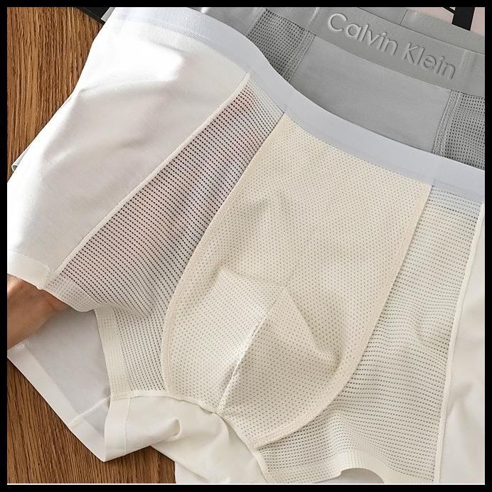 Calvin Klein 4Pcs Ice Silk Boxer Short Pants Pria Celana Dalam Boxer Sport Cool Mesh Pria Clana Dale
