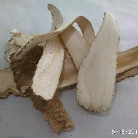 

~~~~~] 100gr Bai Zhi Harum Premium / Angelica Dahurica Pek Ci BaiZhi PekCi